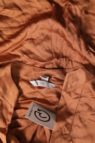 Γυναικεία μπλούζα H&M, Μέγεθος XXS, Χρώμα Καφέ, Τιμή 3,64 €