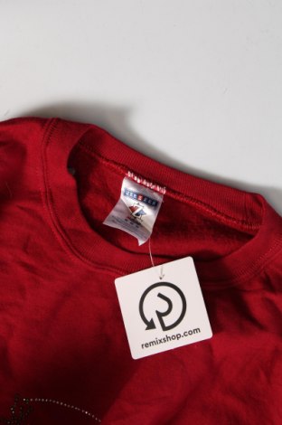 Damen Shirt Jerzees, Größe M, Farbe Rot, Preis 3,44 €