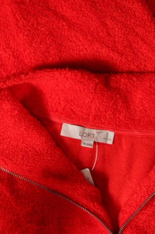 Damen Shirt Loft, Größe S, Farbe Rot, Preis 23,66 €