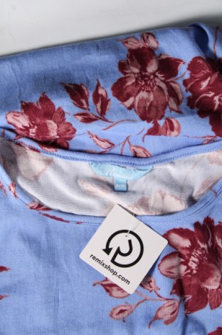 Γυναικεία μπλούζα Penmans, Μέγεθος M, Χρώμα Μπλέ, Τιμή 2,12 €