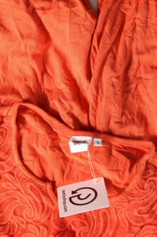 Γυναικεία μπλούζα Pota, Μέγεθος S, Χρώμα Πορτοκαλί, Τιμή 2,23 €