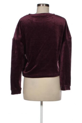 Damen Shirt Primark, Größe S, Farbe Lila, Preis € 2,64