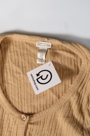 Damen Shirt Pull&Bear, Größe XL, Farbe Beige, Preis € 2,78