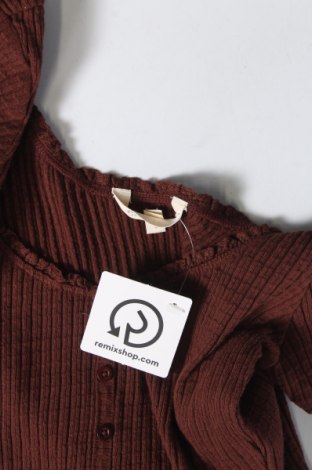 Γυναικεία μπλούζα Review, Μέγεθος S, Χρώμα Καφέ, Τιμή 5,57 €