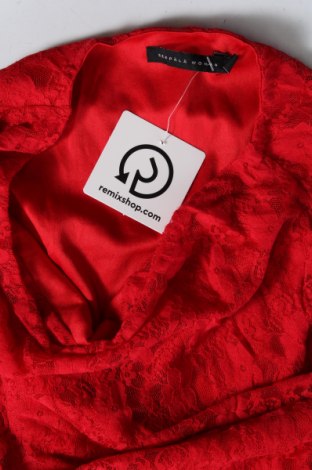 Γυναικεία μπλούζα Seppala, Μέγεθος S, Χρώμα Κόκκινο, Τιμή 2,23 €