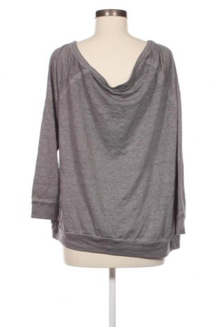 Damen Shirt Torrid, Größe M, Farbe Grau, Preis € 3,44
