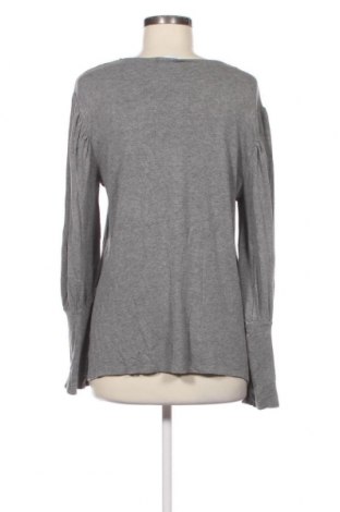 Damen Shirt Warehouse, Größe L, Farbe Grau, Preis 5,57 €