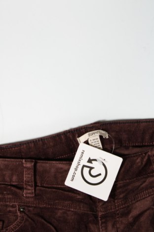 Γυναικείο κοτλέ παντελόνι Esprit, Μέγεθος M, Χρώμα Καφέ, Τιμή 2,69 €