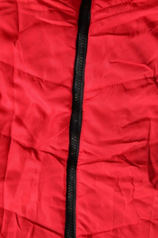 Γυναικείο γιλέκο, Μέγεθος L, Χρώμα Κόκκινο, Τιμή 6,92 €