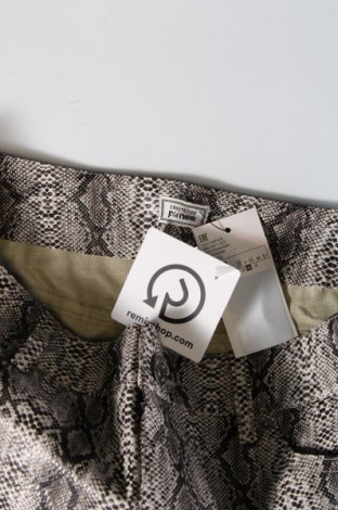 Damen Ledershorts Pimkie, Größe M, Farbe Mehrfarbig, Preis € 5,99