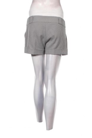 Pantaloni scurți de femei New Look, Mărime M, Culoare Multicolor, Preț 13,75 Lei