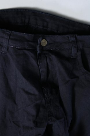 Pantaloni de femei, Mărime L, Culoare Albastru, Preț 16,22 Lei