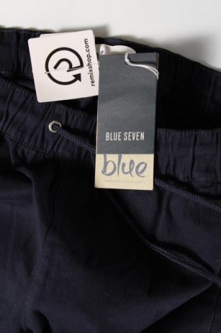 Дамски панталон Blue, Размер M, Цвят Син, Цена 21,16 лв.