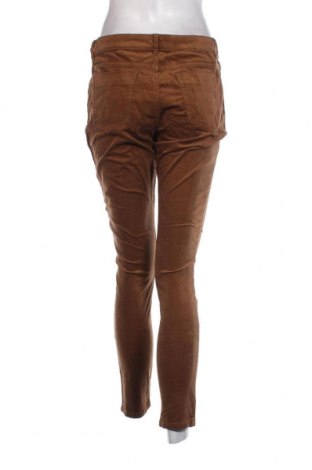 Дамски панталон Hampton Republic, Размер M, Цвят Кафяв, Цена 6,96 лв.