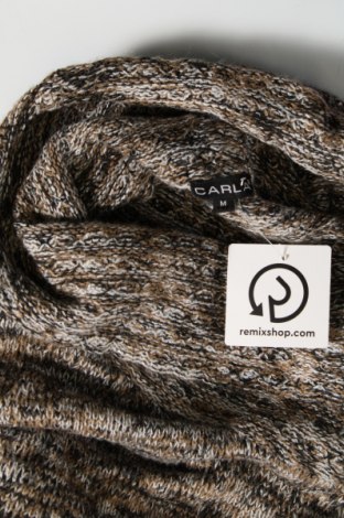 Γυναικείο πουλόβερ Carla, Μέγεθος M, Χρώμα Πολύχρωμο, Τιμή 4,49 €