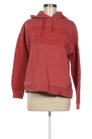 Damen Sweatshirt Next, Größe M, Farbe Aschrosa, Preis 8,97 €