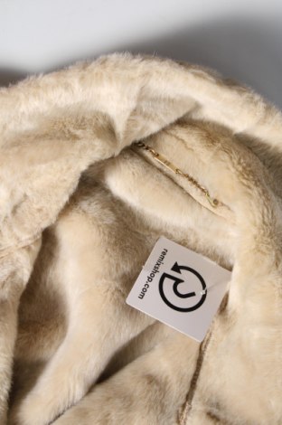 Dámsky kabát , Veľkosť L, Farba Béžová, Cena  5,46 €