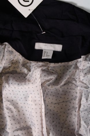 Dámske sako  H&M, Veľkosť L, Farba Modrá, Cena  24,95 €