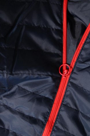 Dámska bunda , Veľkosť M, Farba Modrá, Cena  15,88 €