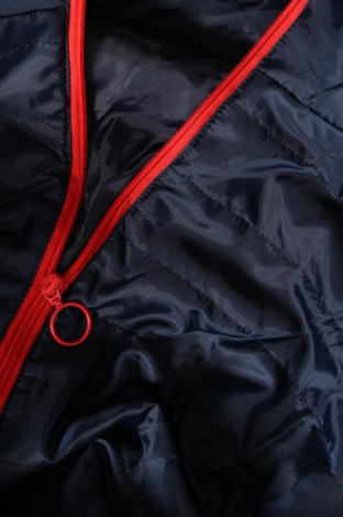 Dámská bunda , Velikost XL, Barva Modrá, Cena  435,00 Kč