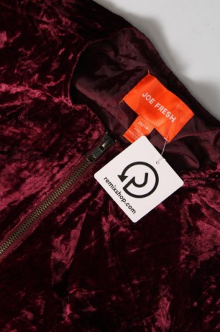 Γυναικείο μπουφάν Joe Fresh, Μέγεθος XS, Χρώμα Κόκκινο, Τιμή 6,53 €