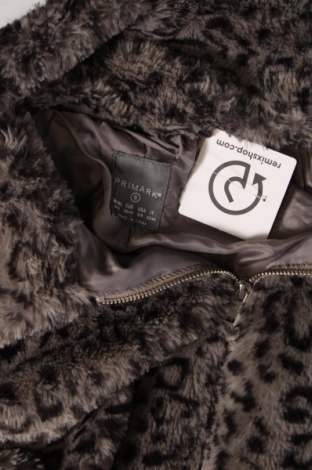 Γυναικείο μπουφάν Primark, Μέγεθος M, Χρώμα Πολύχρωμο, Τιμή 11,84 €