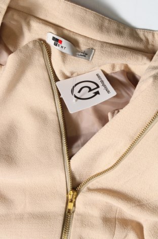 Γυναικείο μπουφάν Temt, Μέγεθος M, Χρώμα  Μπέζ, Τιμή 7,72 €