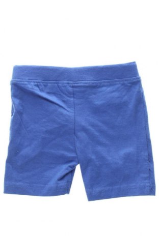 Dziecięce szorty Blue Seven, Rozmiar 3-6m/ 62-68 cm, Kolor Niebieski, Cena 31,56 zł