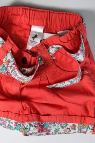 Детски къс панталон Palomino, Размер 4-5y/ 110-116 см, Цвят Червен, Цена 18,82 лв.
