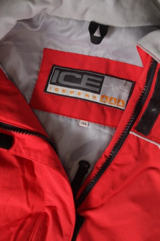 Dětská bunda pro zimní sporty  Icepeak, Velikost 13-14y/ 164-168 cm, Barva Vícebarevné, Cena  105,00 Kč