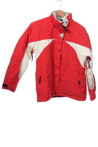 Dětská bunda pro zimní sporty  Icepeak, Velikost 13-14y/ 164-168 cm, Barva Vícebarevné, Cena  105,00 Kč