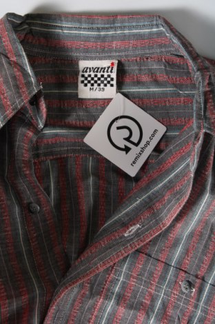Ανδρικό πουκάμισο Avanti, Μέγεθος M, Χρώμα Πολύχρωμο, Τιμή 8,16 €