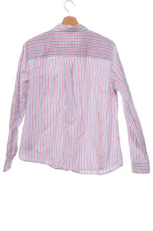 Ανδρικό πουκάμισο Bogner, Μέγεθος M, Χρώμα Πολύχρωμο, Τιμή 9,24 €
