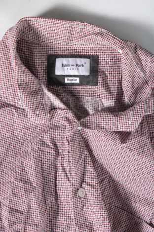 Мъжка риза Eden Park, Размер L, Цвят Многоцветен, Цена 8,58 лв.
