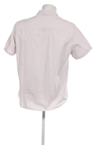 Herrenhemd Jasper Conran, Größe XL, Farbe Mehrfarbig, Preis € 23,66