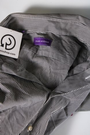 Ανδρικό πουκάμισο Park Avenue, Μέγεθος M, Χρώμα Πολύχρωμο, Τιμή 14,85 €