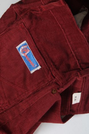 Мъжки джинси, Размер XS, Цвят Червен, Цена 12,88 лв.
