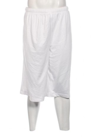 Ανδρικό κοντό παντελόνι, Μέγεθος 3XL, Χρώμα Λευκό, Τιμή 6,19 €