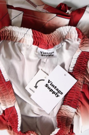 Ανδρικό κοντό παντελόνι Vintage Supply, Μέγεθος L, Χρώμα Πολύχρωμο, Τιμή 8,97 €