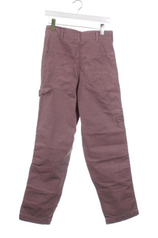 Herrenhose BDG, Größe S, Farbe Aschrosa, Preis € 4,04