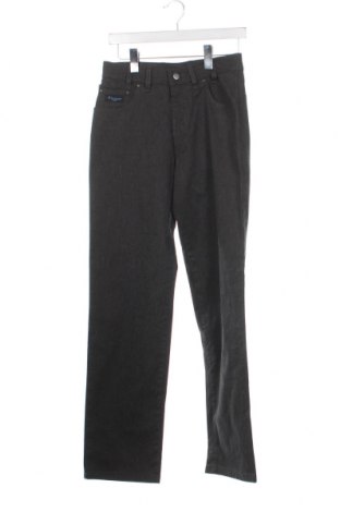Pantaloni de bărbați Pioneer, Mărime S, Culoare Gri, Preț 20,03 Lei