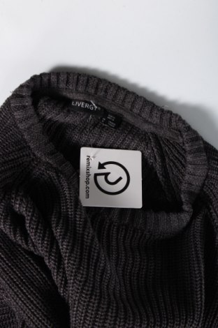 Мъжки пуловер Livergy, Размер M, Цвят Сив, Цена 5,51 лв.