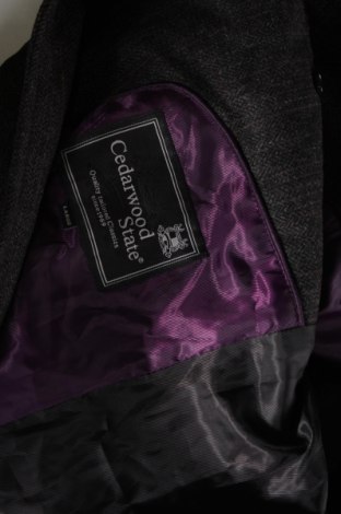 Męski płaszcz CedarWood State, Rozmiar L, Kolor Kolorowy, Cena 119,78 zł