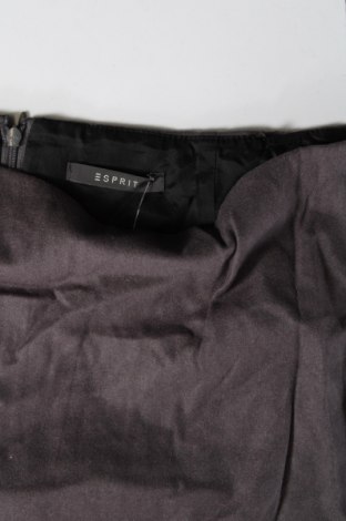 Φούστα Esprit, Μέγεθος XL, Χρώμα Γκρί, Τιμή 2,87 €