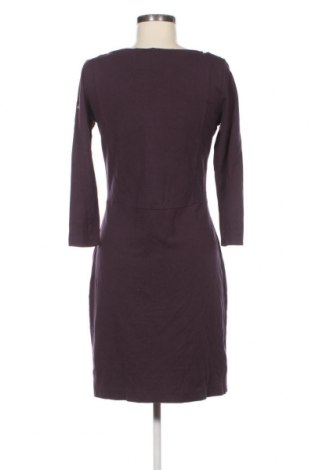 Kleid Filippa K, Größe L, Farbe Lila, Preis € 26,60
