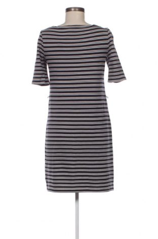Kleid Hobbs London, Größe S, Farbe Mehrfarbig, Preis 20,71 €