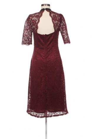 Kleid Next, Größe M, Farbe Rot, Preis 22,46 €