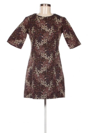 Kleid Zara Trafaluc, Größe M, Farbe Mehrfarbig, Preis 13,69 €