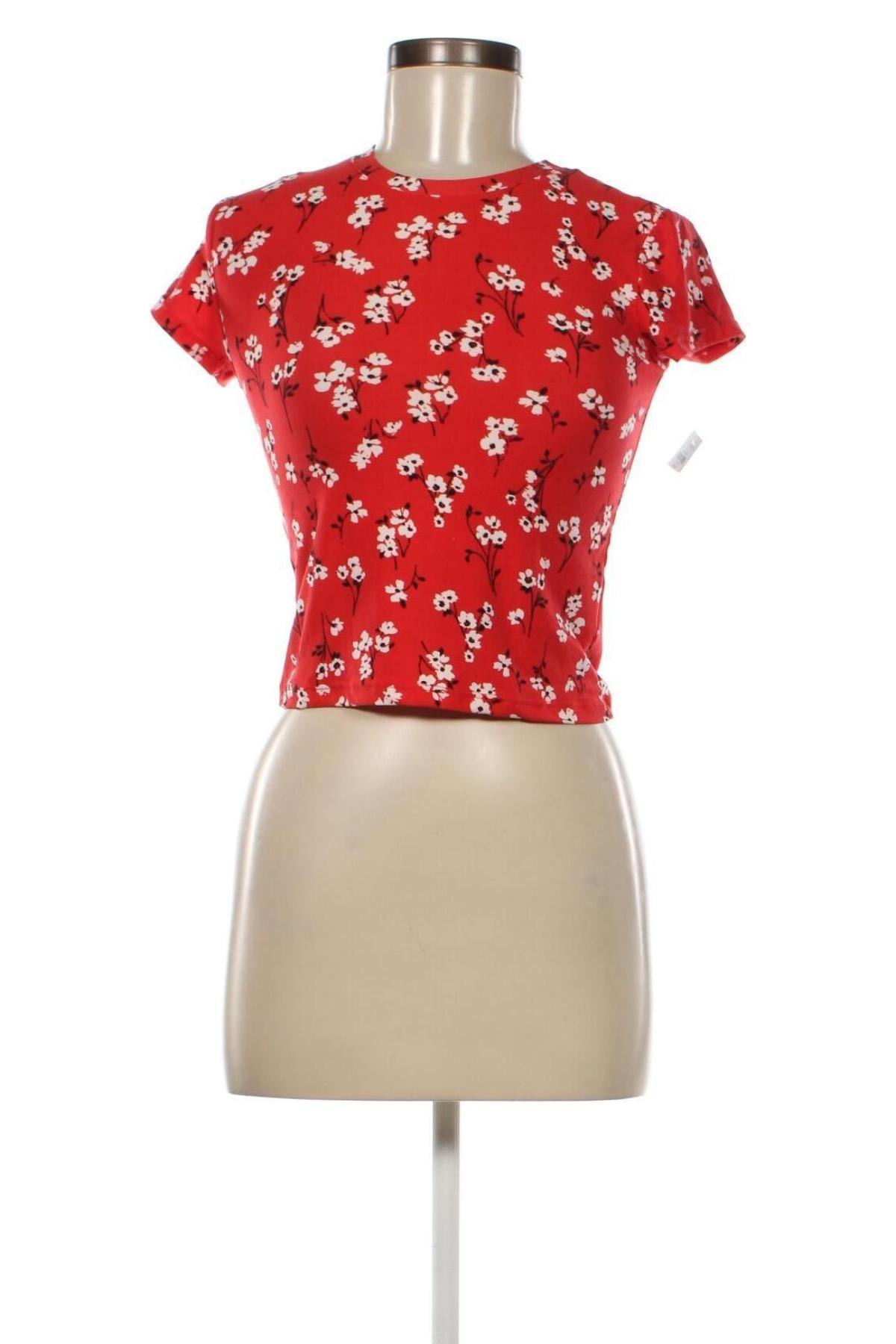 Γυναικεία μπλούζα Collection, Μέγεθος XS, Χρώμα Κόκκινο, Τιμή 5,11 €