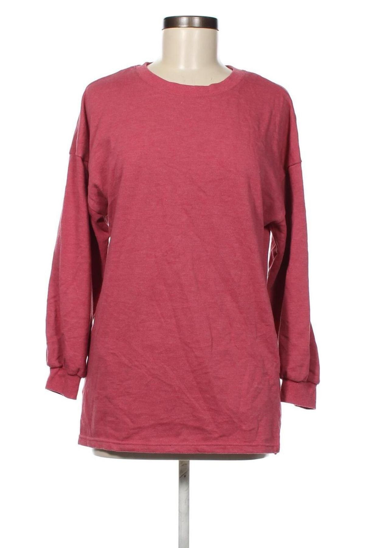 Γυναικεία μπλούζα Janina, Μέγεθος S, Χρώμα Ρόζ , Τιμή 3,64 €